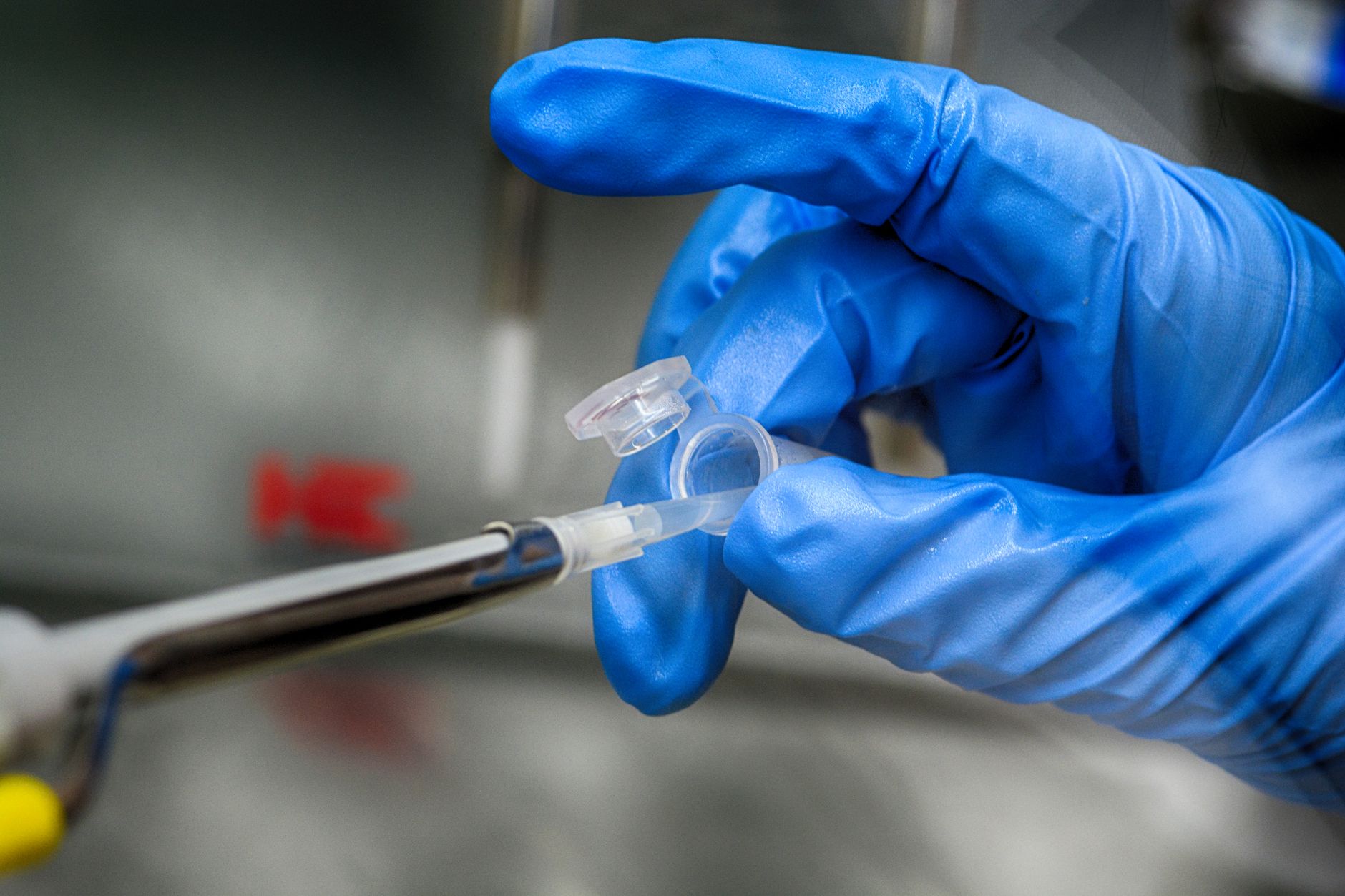 Une seule injection pour régénérer une articulation arthrosique : la recherche franchit un cap